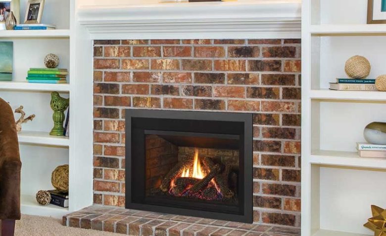 Gas Fireplace Inserts Regency Fireplace Products